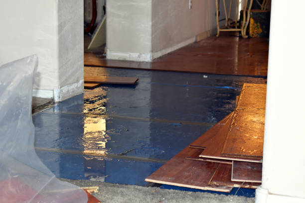 Professional Flood Cleanup technician working in Hamilton, MI